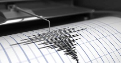 Terremoto Sicilia Sismografo Catania