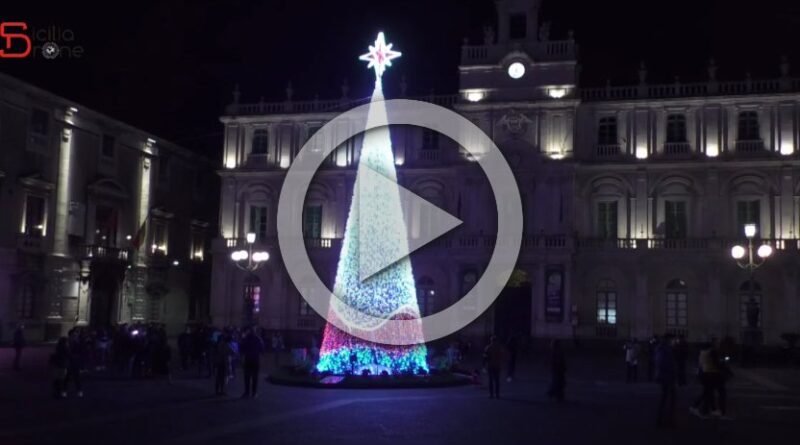 Catania live albero