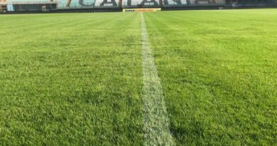 Calcio Catania stadio Massimino campo