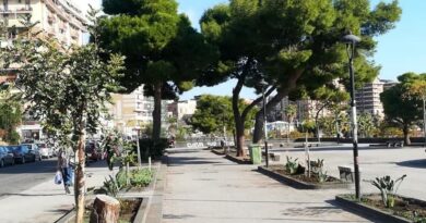 Catania live 2000 alberi piazza europa