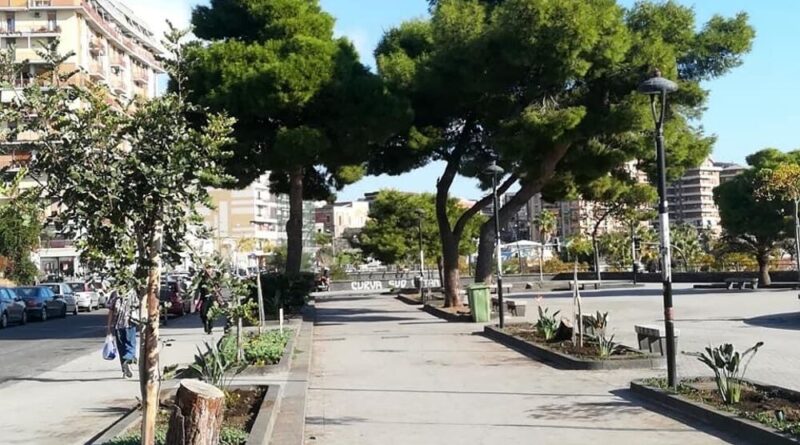 Catania live 2000 alberi piazza europa