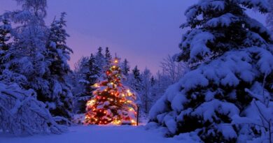 Albero Natale Sicilia