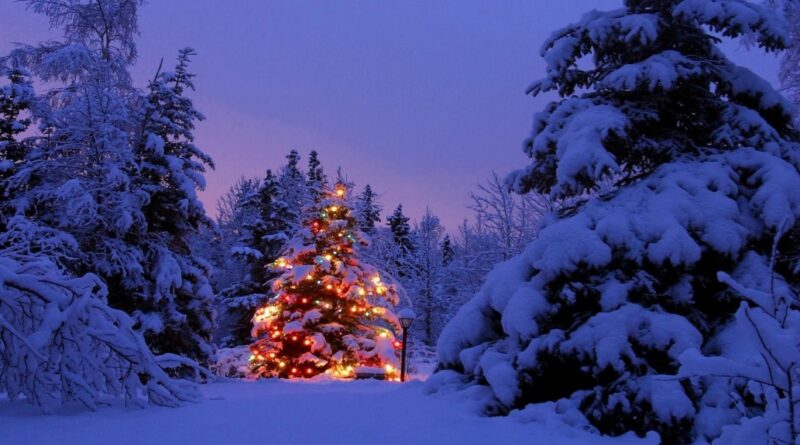 Albero Natale Sicilia