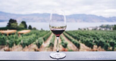 Bicchiere di vino doc Sicilia