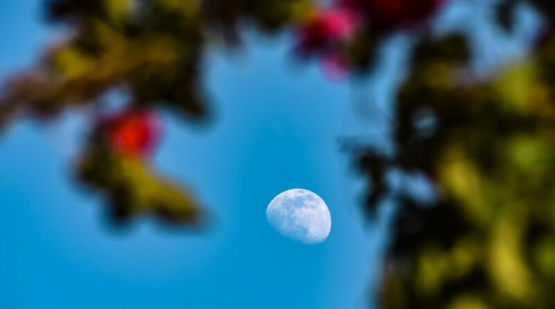 superluna fiori maggio