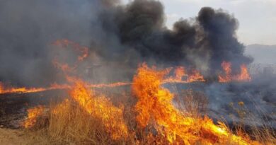 incendi Sicilia