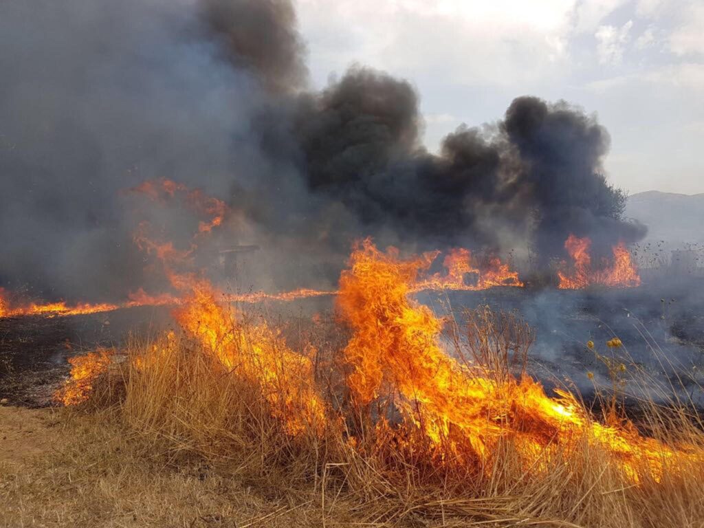 incendi Sicilia