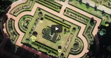 Giardini Palazzo Orleans Palermo video