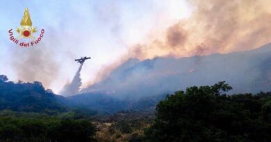 incendi sicilia stato emergenza