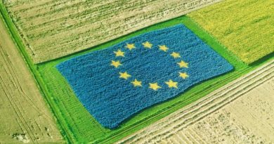 agricoltura europa fondi sicilia