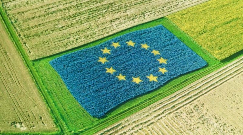 agricoltura europa fondi sicilia