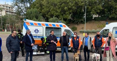 catania dog card villa bellini