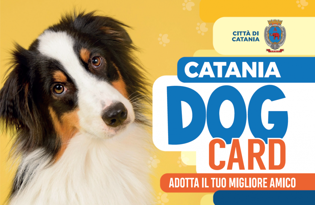 catania dog card