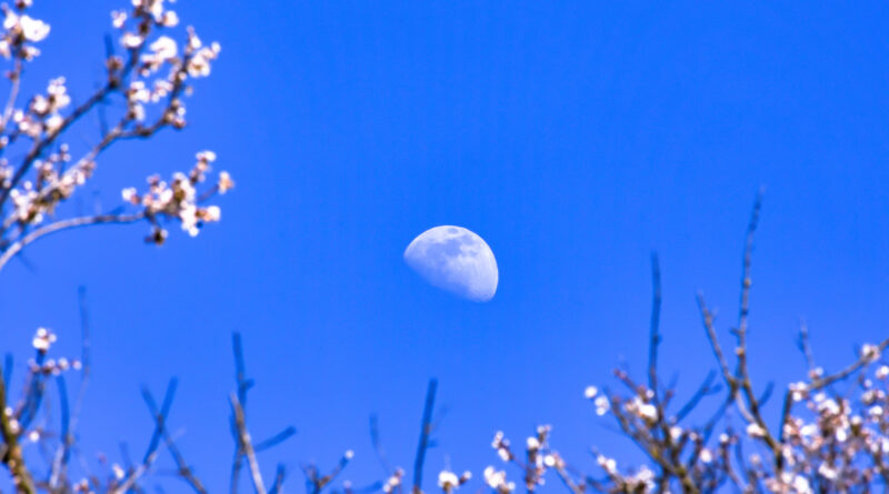 primavera aprile luna giorno eventi astronomici