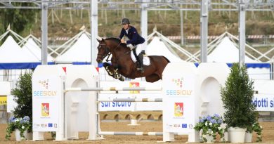 Ambelia fiera cavallo salto ostacoli