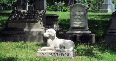 cimiteri animali