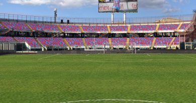 nuovo stadio calcio catania angelo massimino