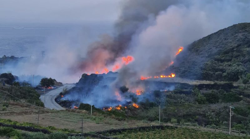 Pantelleria incendio