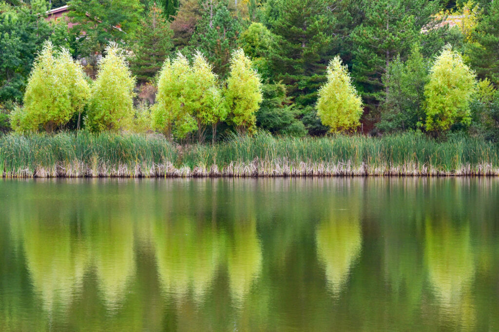 parco delle madonie settembre lago verde parchi sicilia