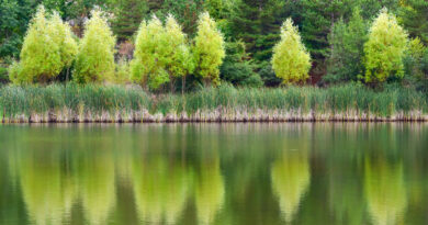 parco delle madonie settembre lago verde