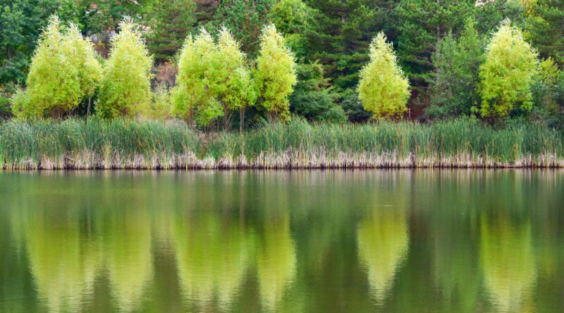 parco delle madonie settembre lago verde