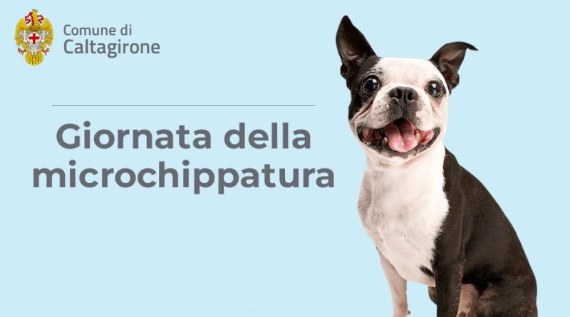 giornata microchippatura gratuita caltagirone