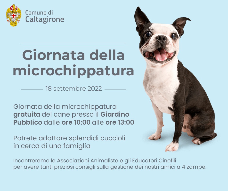 giornata microchip cani Caltagirone