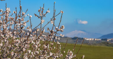 equinozio primavera 2023