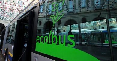 bus ecologici sicilia