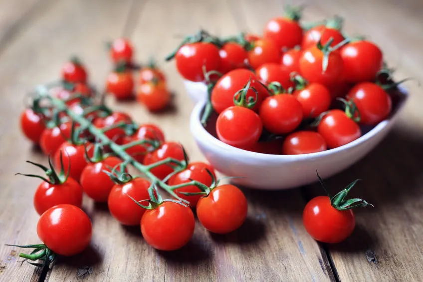 pomodoro di pachino mc donald's