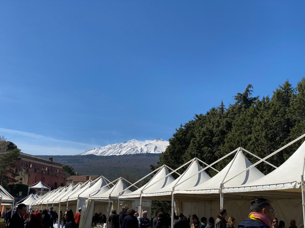 stand di Contrade sullo sfondo Etna innevato