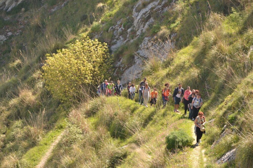 escursioni naturalistiche Monte Jato