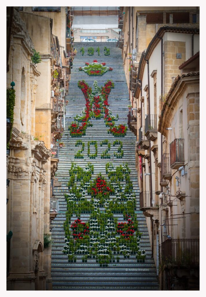 scala infiorata 2023 caltagirone copertina