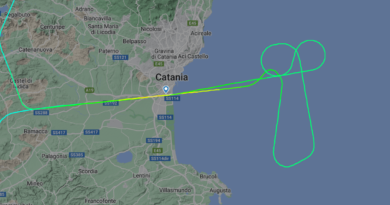 minchia aereo flight radar catania