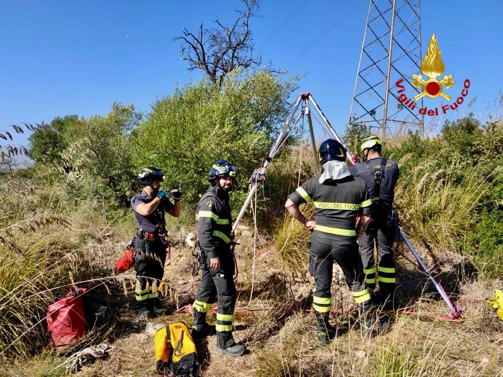 vigili del fuoco mineo cani pozzo