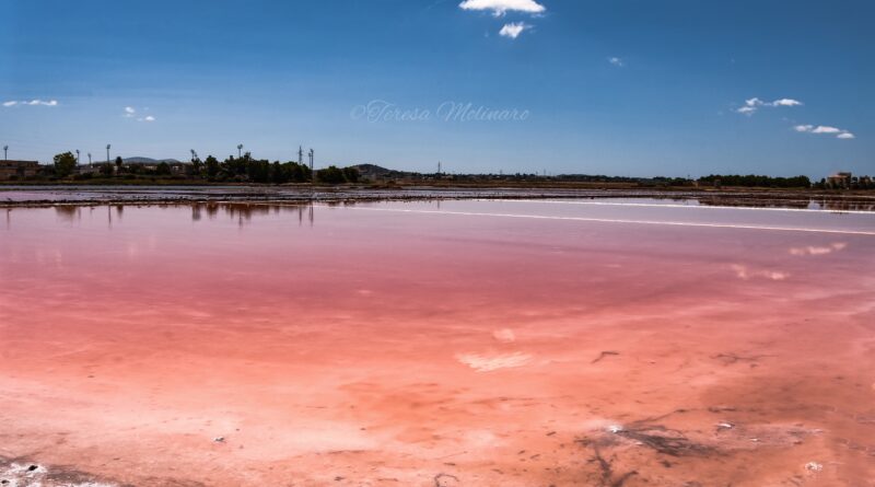 Viaggio tra le Saline di Trapani e Paceco [Foto]
