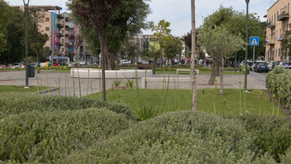 parcheggio sanzio catania verde